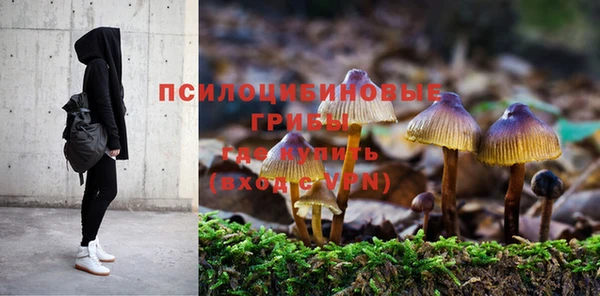 a pvp Баксан